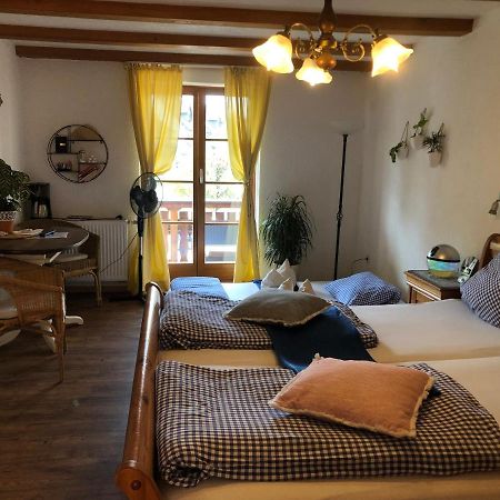 Ferienwohnung Sonne Schliengen Esterno foto