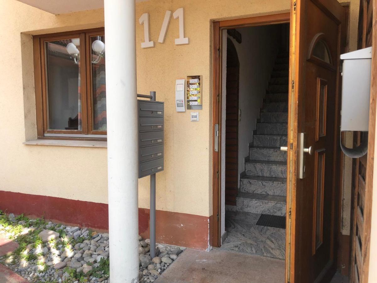 Ferienwohnung Sonne Schliengen Esterno foto